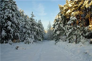 《怪物猎人 崛起》总监铃木佳刚：正在对DLC登场怪物进行最后润色
